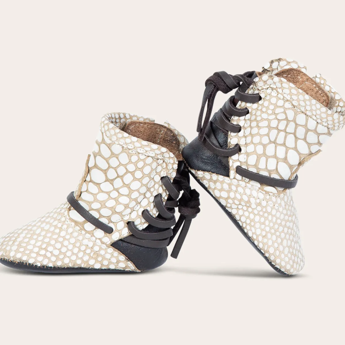 Clearance Freebird Stores Baby Coal White Snake