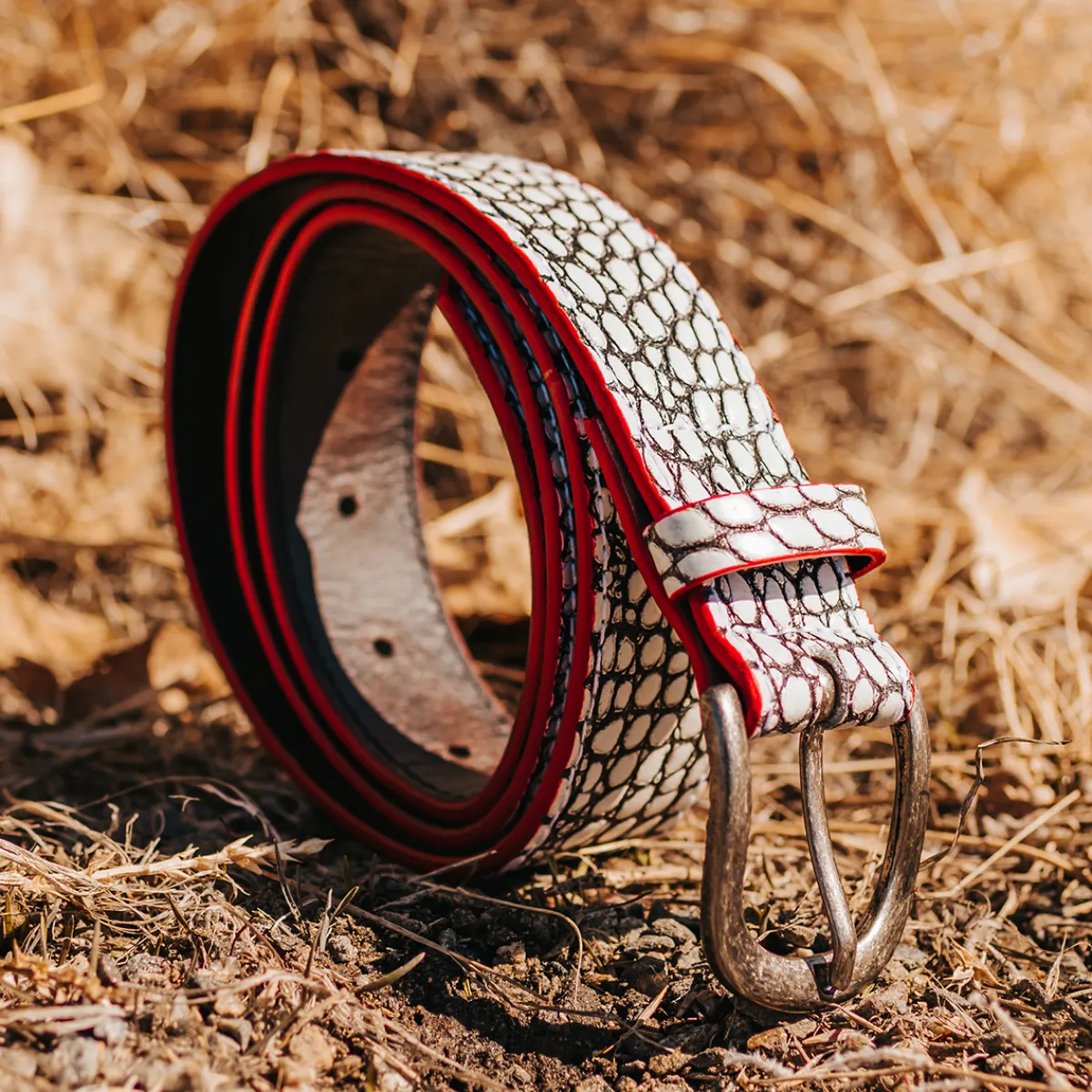 Fashion Freebird Stores Classic Belt White Croco