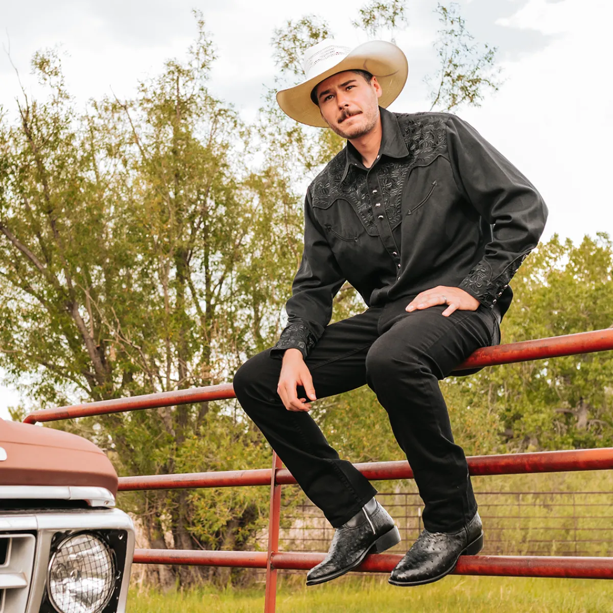 New Freebird Stores Desperado Black