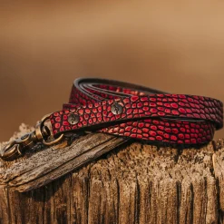Discount Freebird Stores Dog Leash Red Croco