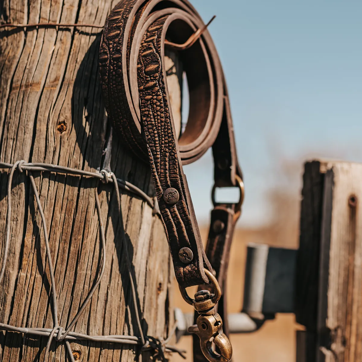 Sale Freebird Stores Dog Leash Brown Distressed