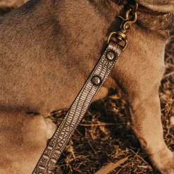 Sale Freebird Stores Dog Leash Brown Distressed
