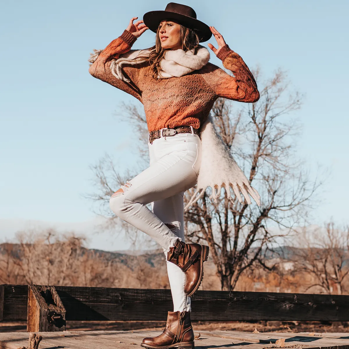 New Freebird Stores Harley Brown