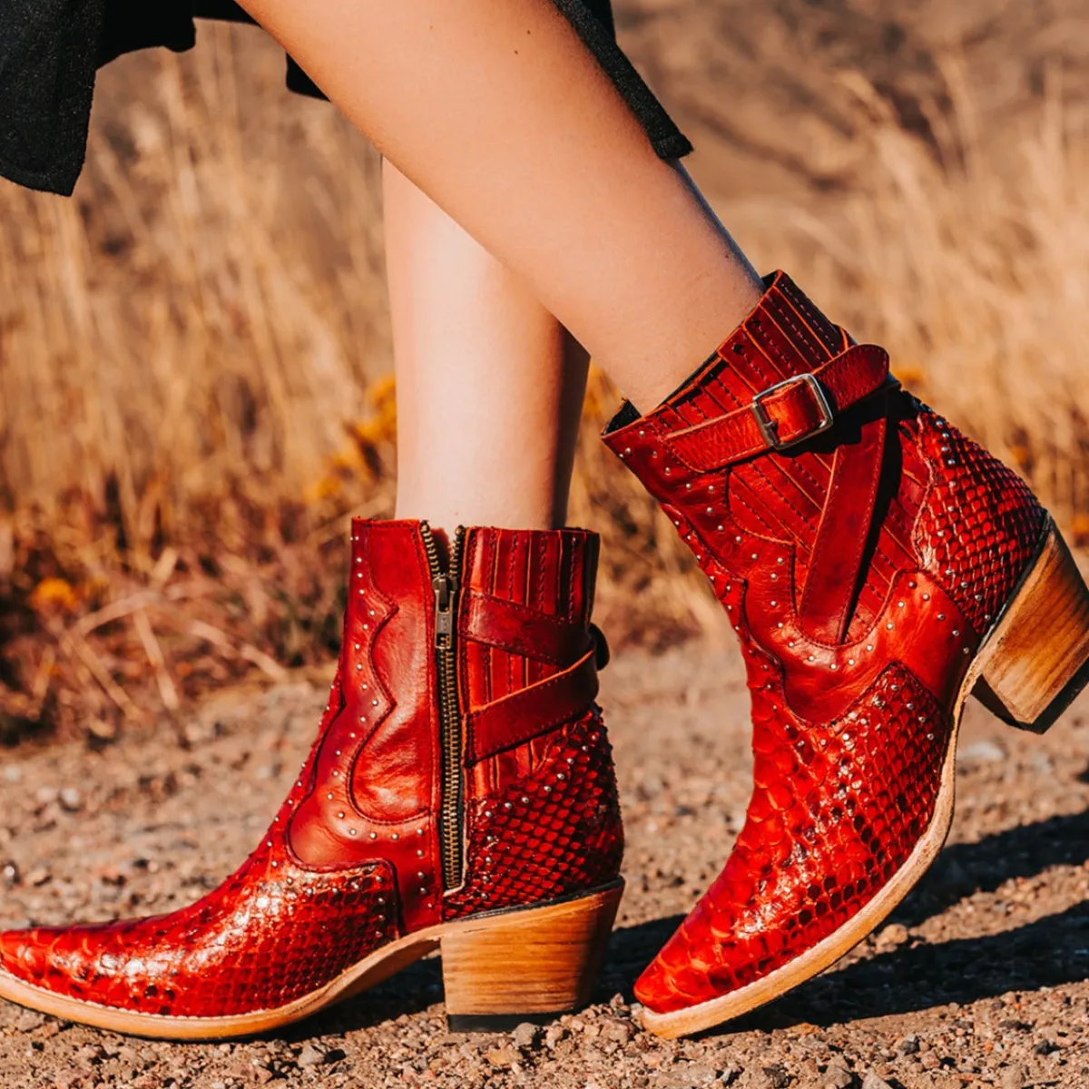 Hot Freebird Stores Morgan Red Python
