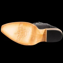 Hot Freebird Stores Starzz Black Multi