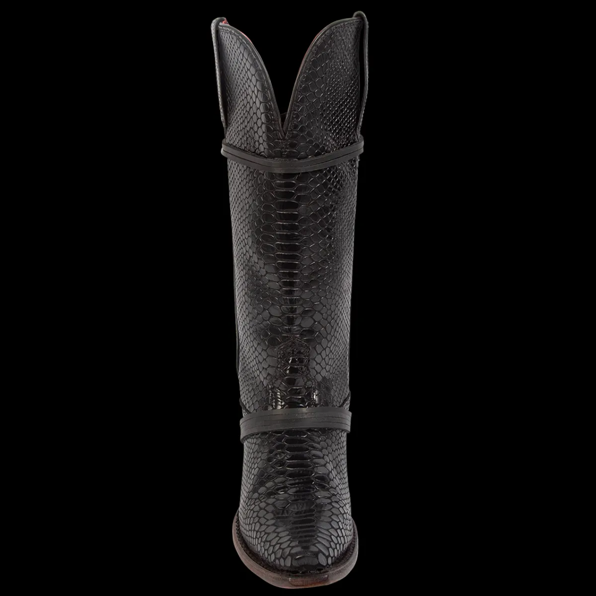 Best Freebird Stores Wardon Black Snake