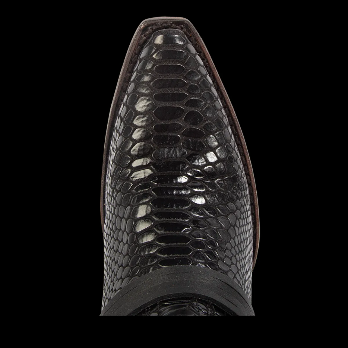 Best Freebird Stores Wardon Black Snake